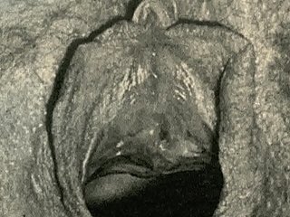 Perfidious Lantern Entertainment presents 'Vintage Closeups' outsider My Mingy Life, The Low-spirited Confessions of a Victorian English Gentleman