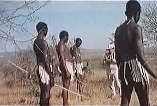 Afrikaanse enorme penissen! Echte safari!